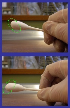 Two shots of a person's latex gloved hand holding a swab.