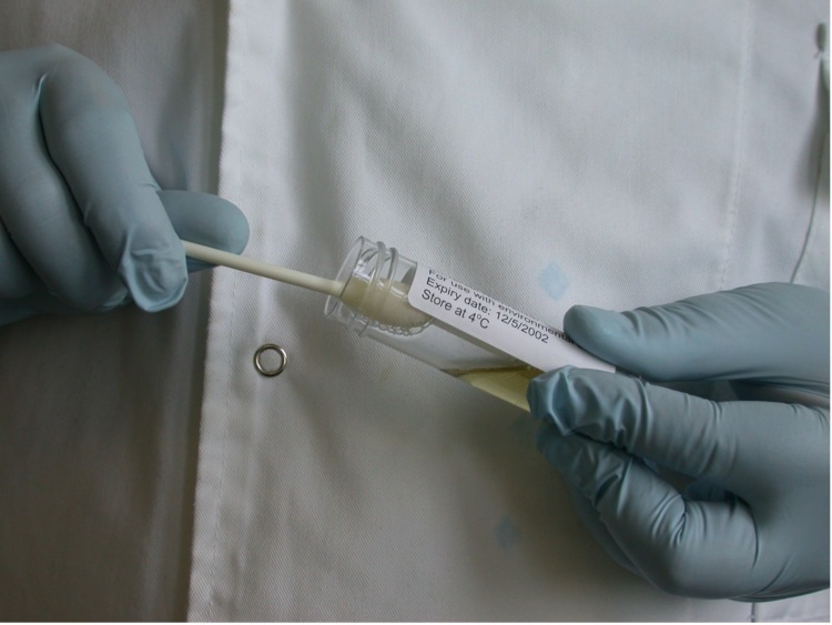 A pair of blue gloved hands putting a swab in a test tube.