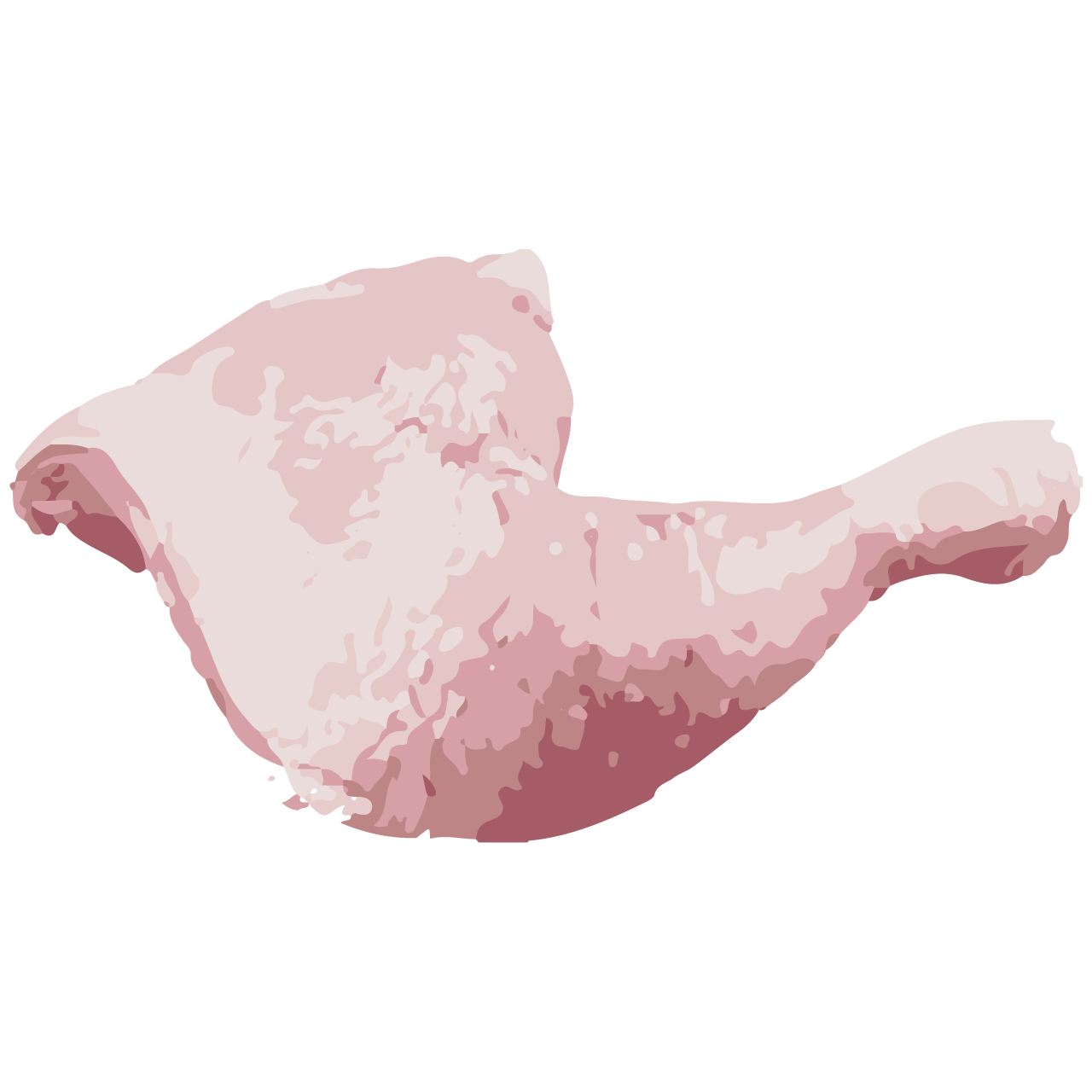 Chicken leg