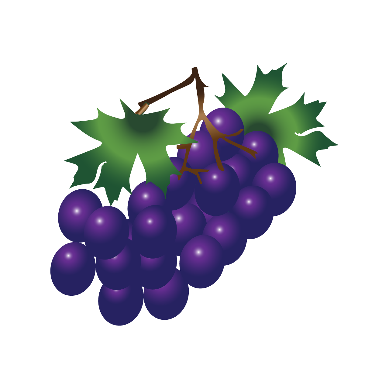 A bunch of grapes