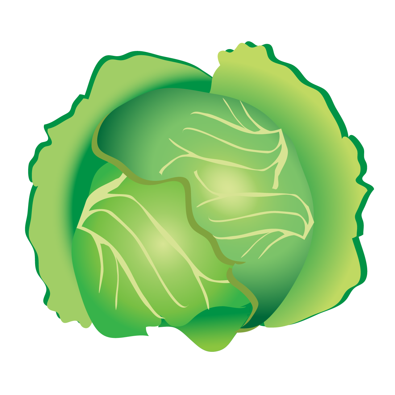 Salad leaves