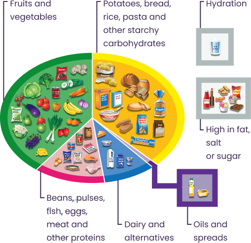 The full Eatwell Guide with food groups and selected food types.